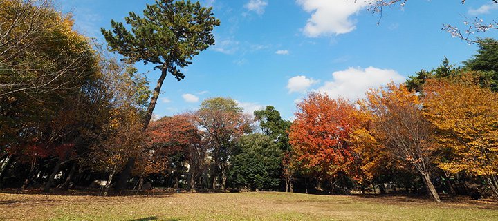 秋_紅葉_2